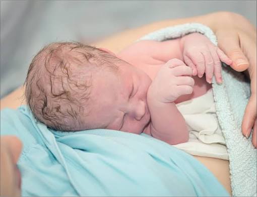 neonate-clip.jpg
