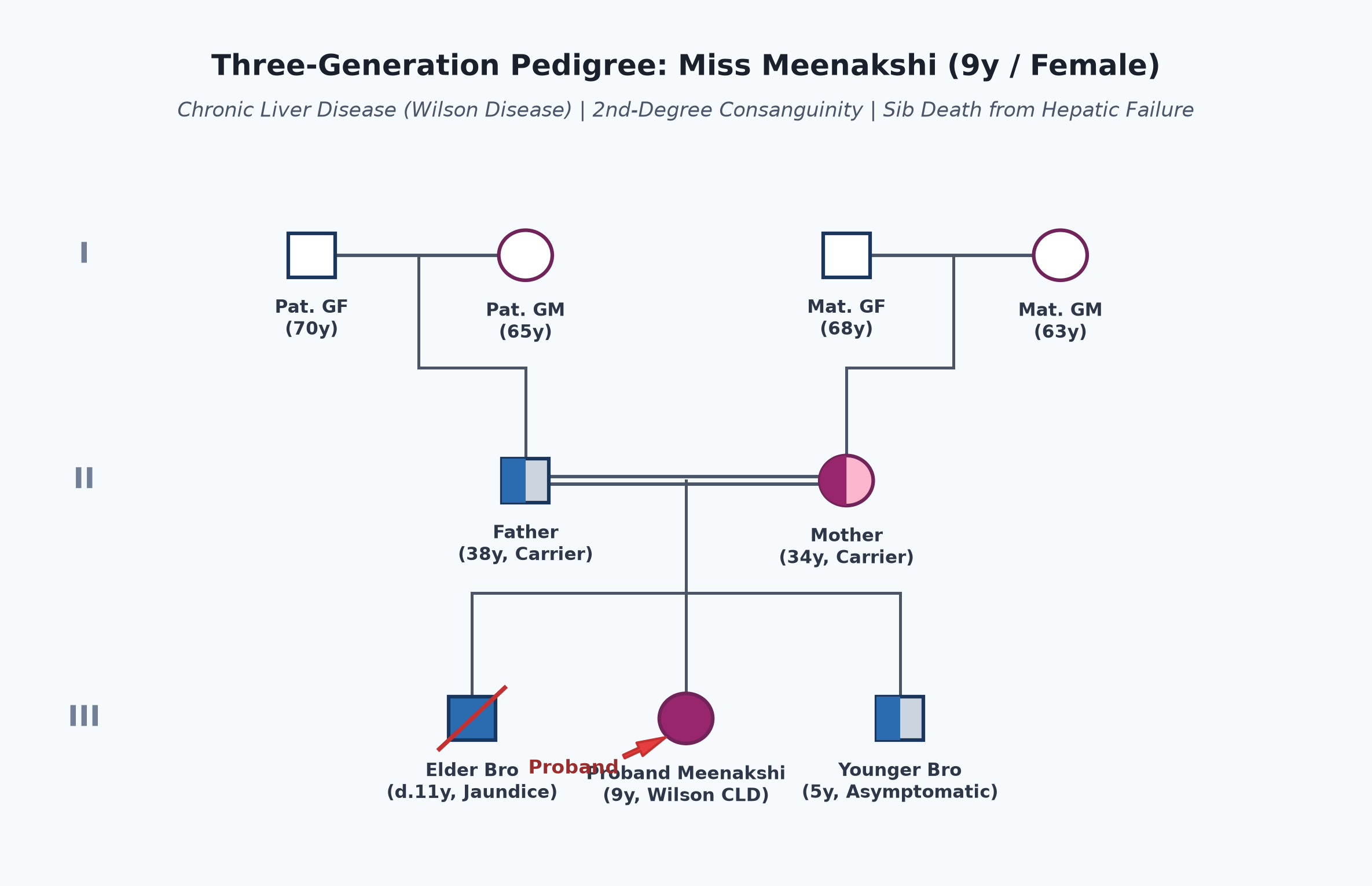 pedigree_cld_meenakshi.png
