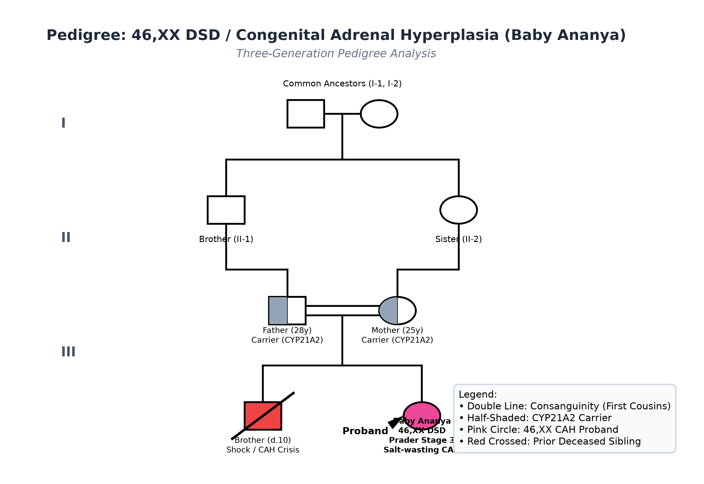 pedigree_dsd_ananya.png