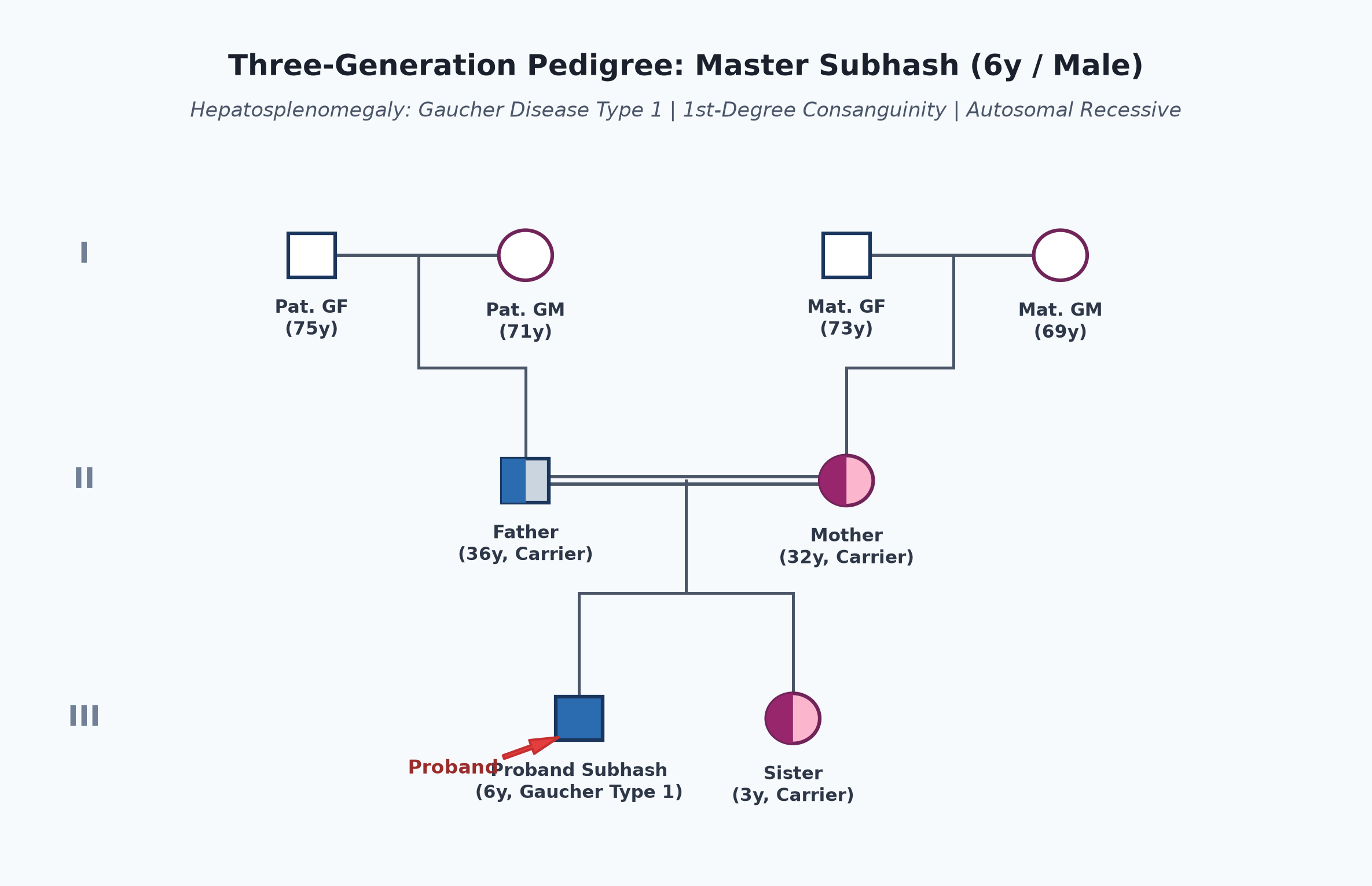 pedigree_gaucher_subhash.png