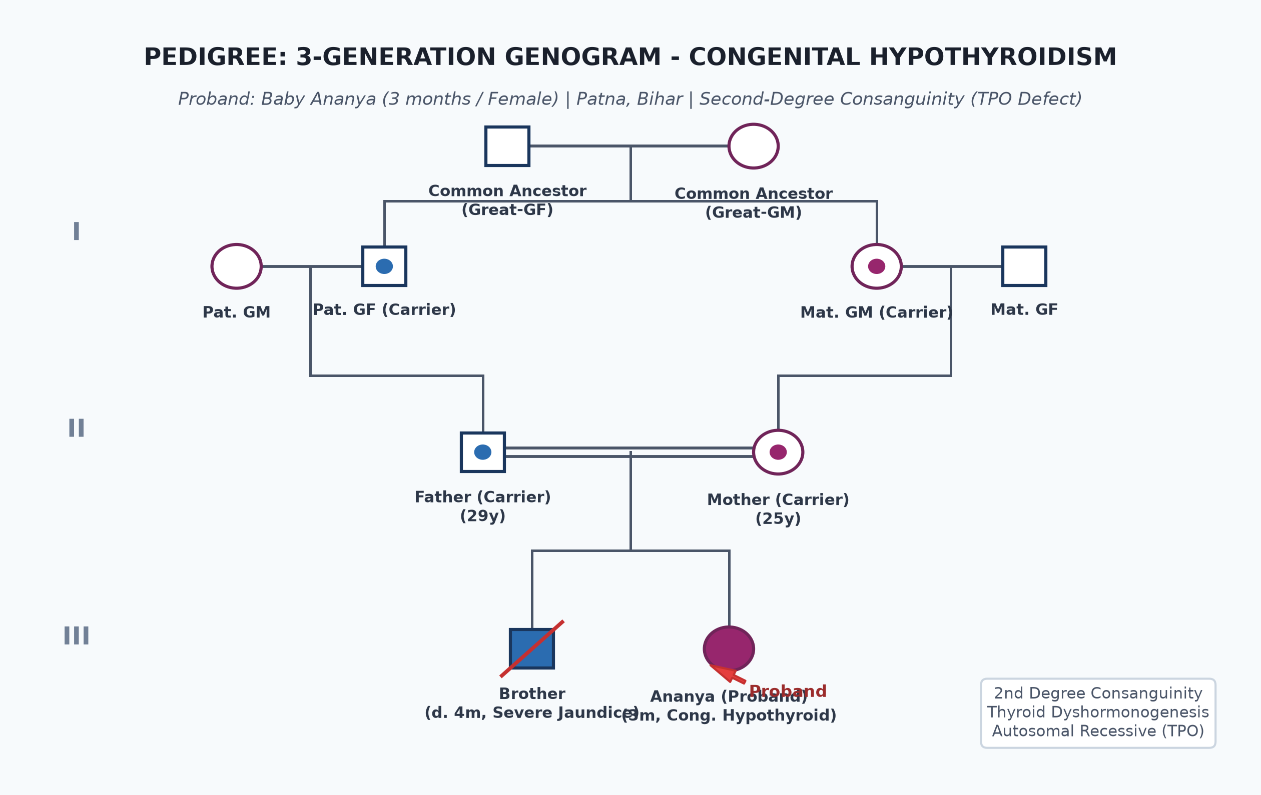 pedigree_hypothyroid_ananya.png