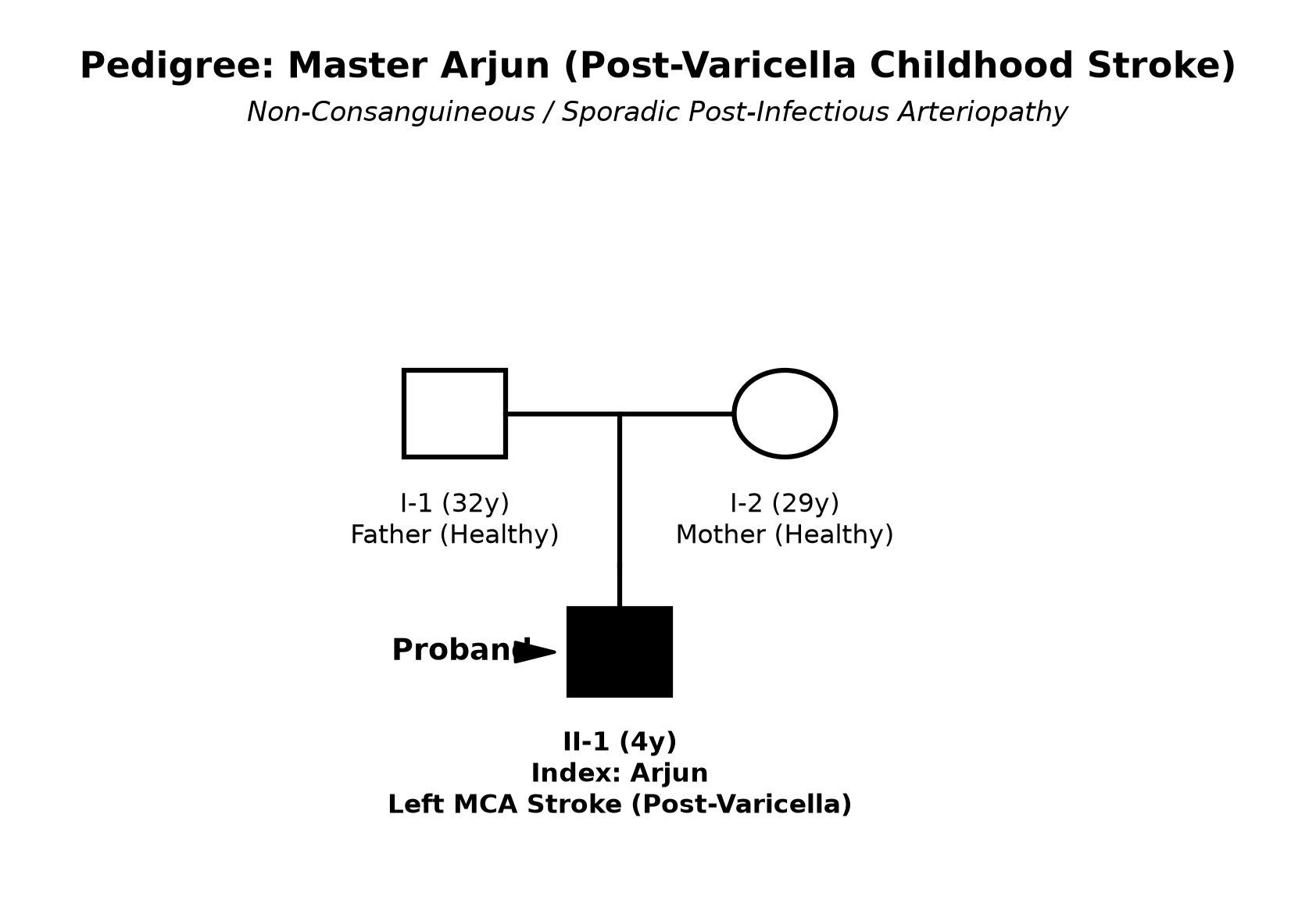 pedigree_stroke_arjun.png