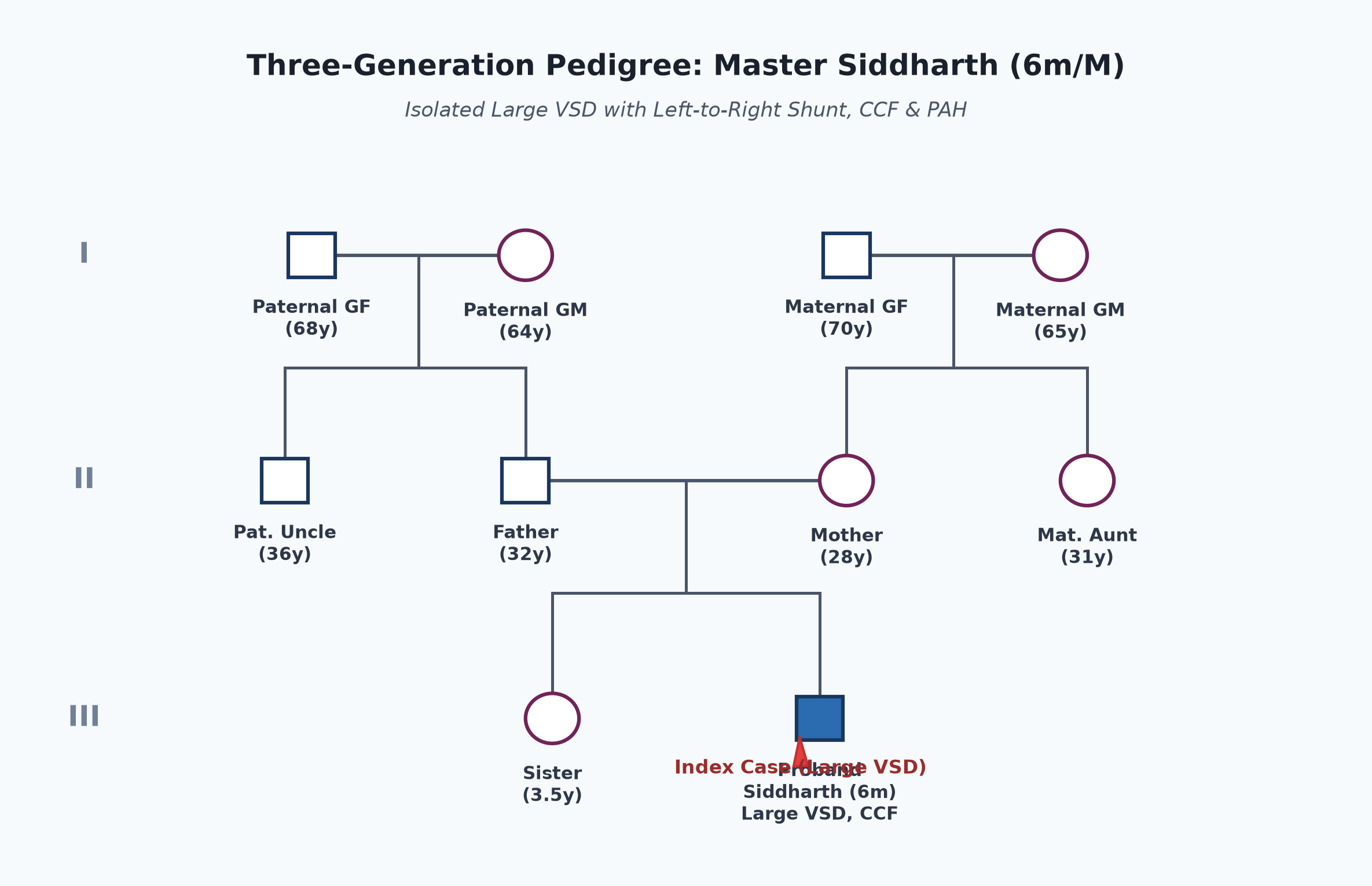 pedigree_vsd_siddharth.png